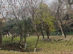 -采石矶景区