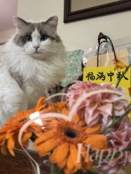 -倩极·精研痘敏肌管理