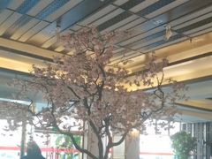 -东方之珠洗浴休闲广场(南开店)