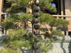 -香积寺