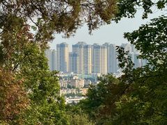 -昆明植物园