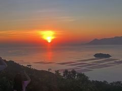 -花竹村