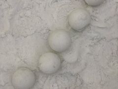 -广州热雪奇迹