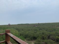 -北海金海湾红树林生态旅游区