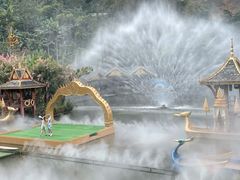 -西双版纳原始森林公园