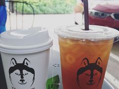 -TrueLove @ Neverland (Husky Cafe)