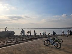 -宝安西湾红树林湿地公园