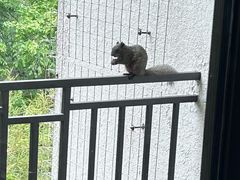 -昆明春城湖畔度假村