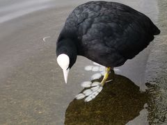 -海德公园