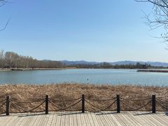 -野鸭湖国家湿地公园