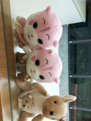 点击看大图 -宝生月子中心·独栋独院式(南山店)