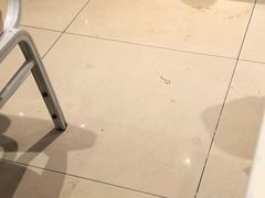 大堂-龙记香港茶餐厅(久光百货店)