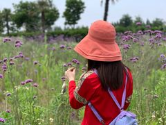 -歌斐颂巧克力小镇