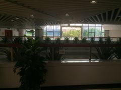 -佛山市图书馆(祖庙路分馆)