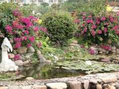 -三亚亚龙湾凯莱仙人掌度假酒店