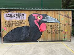 -广州长隆飞鸟乐园