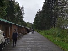 -汤旺河林海奇石景区