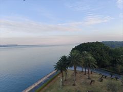 -大湾区中央湿地公园