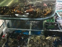 点菜区-鑫悦楼煎蟹·16年海鲜大排档