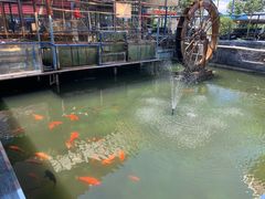-东江湖游水三文鱼美食城