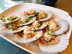 蒜蓉粉丝蒸扇贝-沙龙酒家