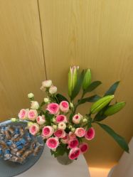 -苑苑vbeauty科技美容SPA