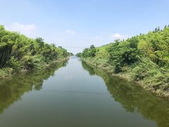 -黄海国家森林公园