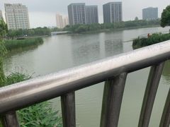 -南翔镇银翔湖公园