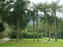 -深圳仙湖植物园