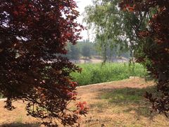 -北运河水利风景区