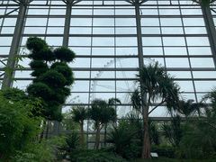 -祥源·阜阳生态乐园