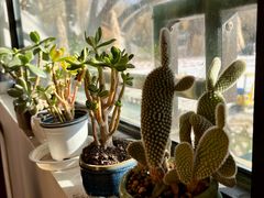 -三忘湖 SWANSEEN(柳荫公园店)