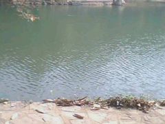 -紫霞湖公园
