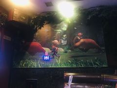 -牧歌KTV(观前店)