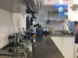 -派恩宜灰指甲鸡眼嵌甲手足癣