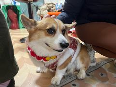 -LADY FAFA(巨鹿路陕西南路路口店)