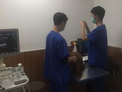 -宠福鑫动物医院·动物疾病诊疗中心(天通苑店)