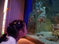 -西海国立公园九十九岛水族馆
