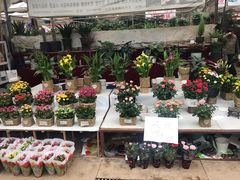 -秦美花卉(天朗·莱茵小城2期店)