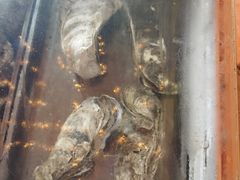 镇店巨无霸生蚝-土蚝·高压锅生蚝(百姓美食街店)