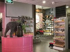 -百好乐宠物友好餐厅(朝外大街店)