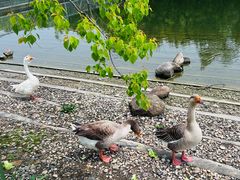 -同济大学(嘉定校区)