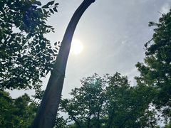 -自然谷恐龙园