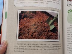 -五峰书院(南洋泾路店)