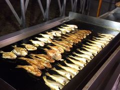 -渔家火锅·海鲜自助餐·演艺(亚龙湾天域酒店)