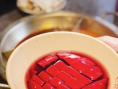 -蜀国大将老火锅(江北店)
