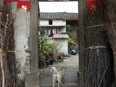 -苏家围·东江画廊旅游景区
