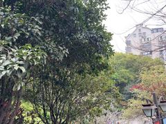 -乌山风景区