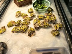 -潮澎派·潮汕菜大排档(南较西路店)