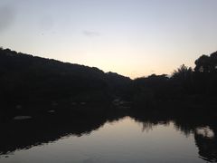 -厦门悦华酒店